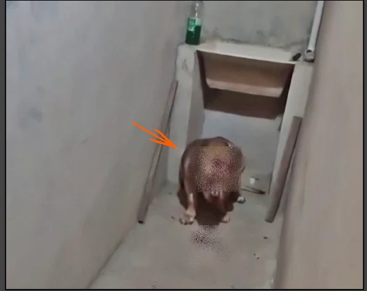 Madrugada de Terror em Parelhas: Facções Invadem Casas e Cão é Baleado Durante Caçada a Rival
