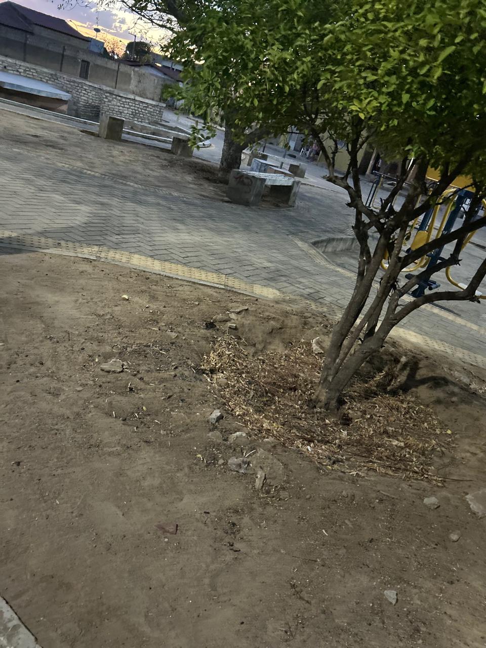 Continua o descaso da Secretaria de Meio Ambiente de Janduís com a Praça Paulo Xia